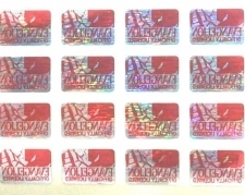 copy_copy_holo_0203.JPG