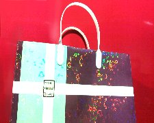 holo paperbag.JPG